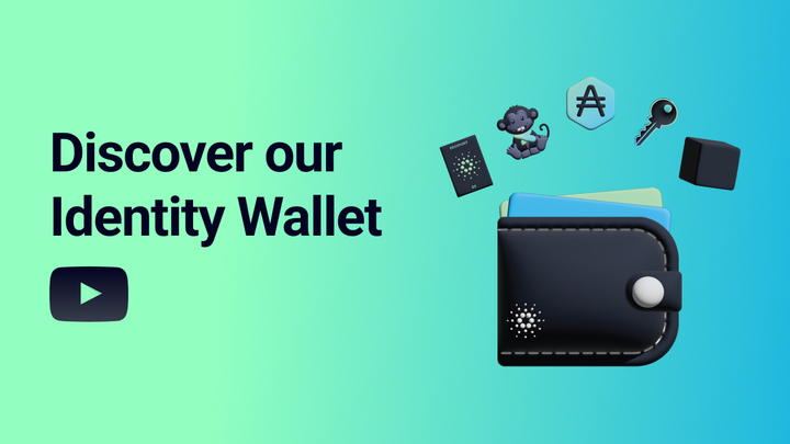 Identity Wallet Introduction Video Thumbnail